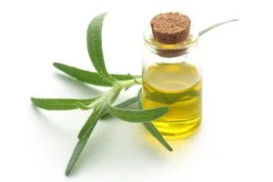 Tienda online de belleza y salud kama ingredients rosemary oil