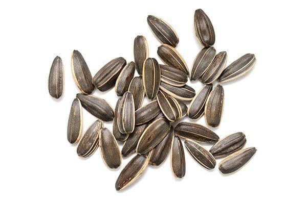 kama ingredients sunflower seeds
